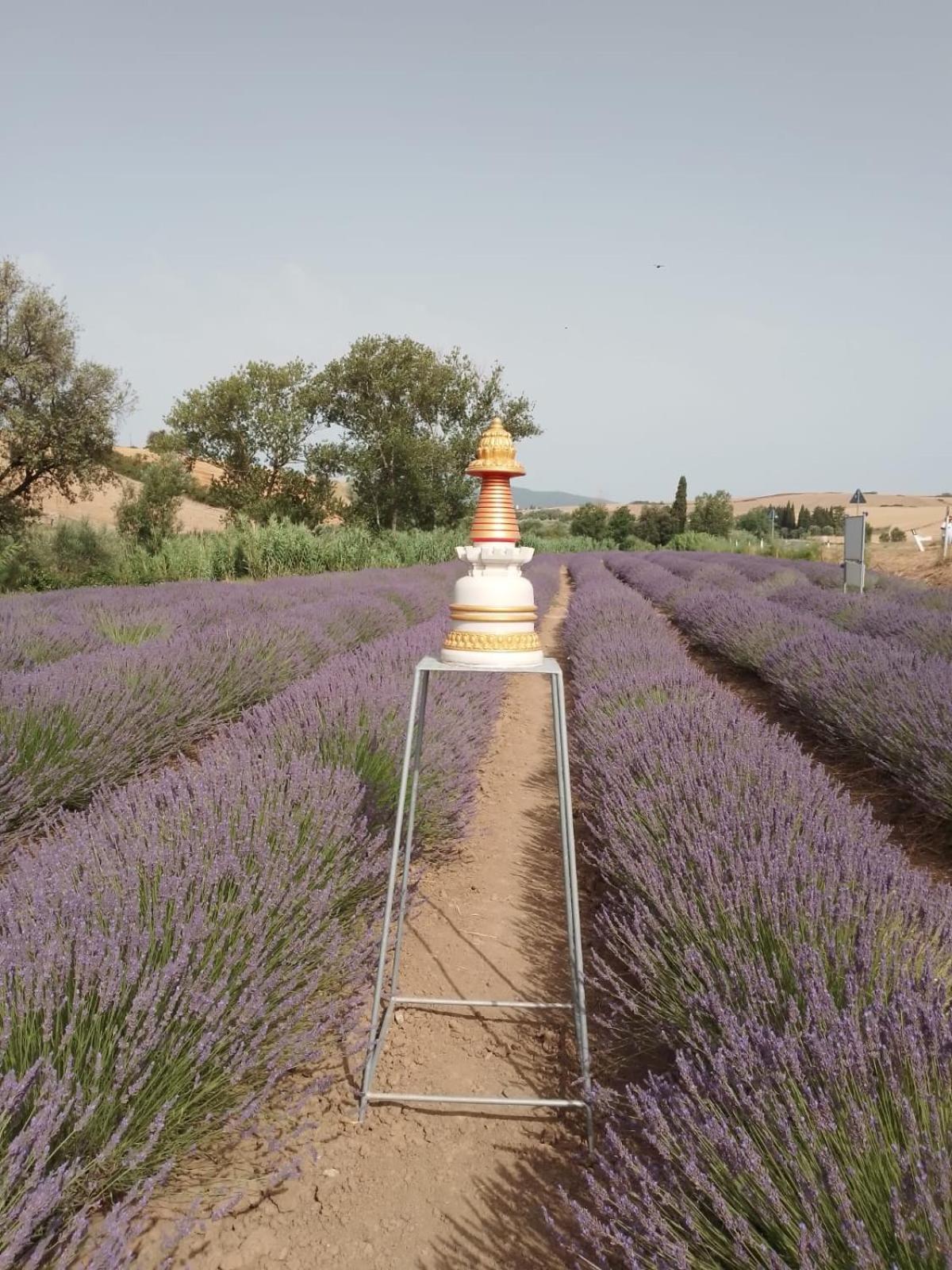 Casa Storica Con Terrazzo Villa Castellina Marittima Kültér fotó